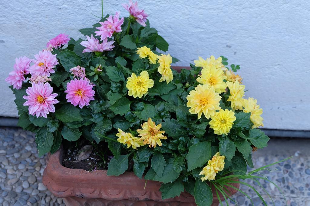 Aria Di Casa B&B Cantù Eksteriør billede